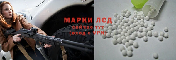spice Бородино