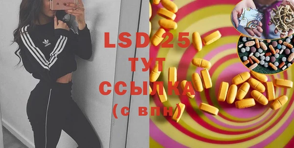spice Бородино